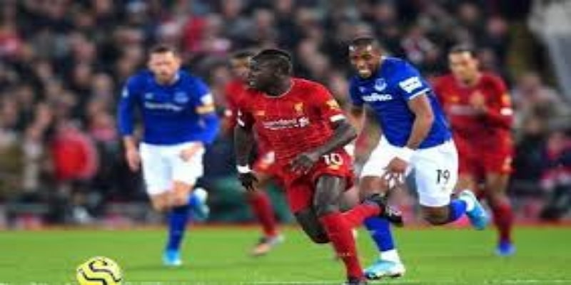 新球场与未来展望- 熊猫体育